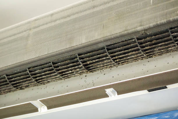 Best Home Air Vent Cleaning  in Summerville, GA